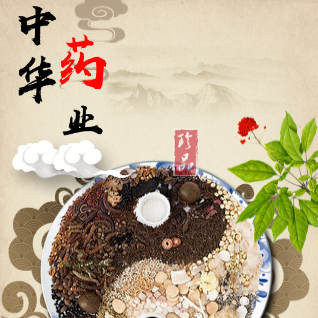 巴中秦岭药业有限公司