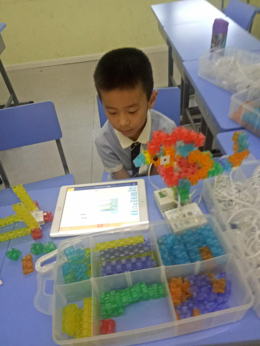 7.20-农耕养殖-鸡