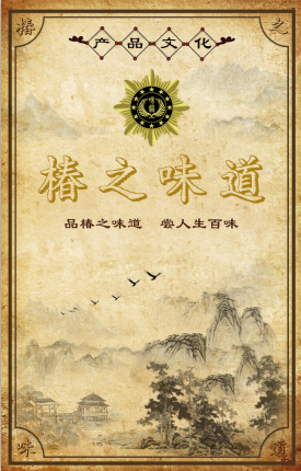 中天国际产品文化