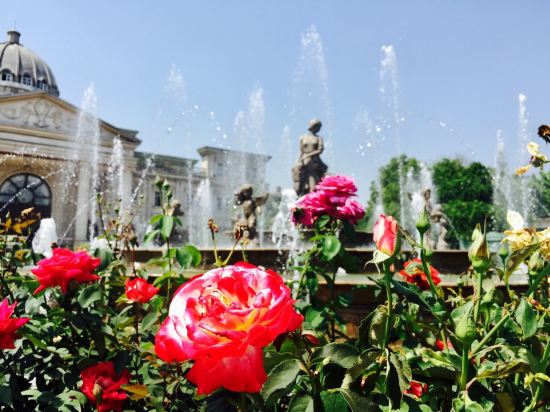 太仓玫瑰庄园酒店