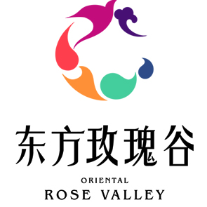 一代人的青春，所有人的芳華。