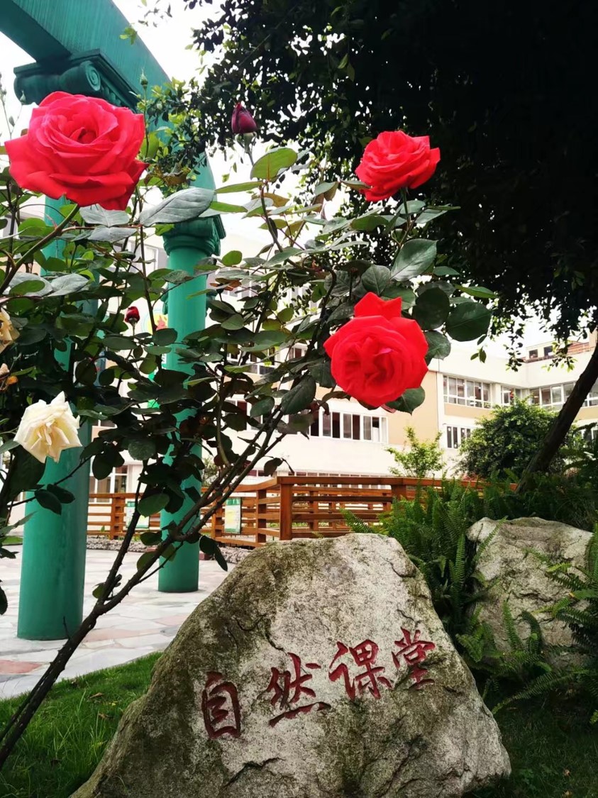 大邑縣南街小學第二屆健育文化節