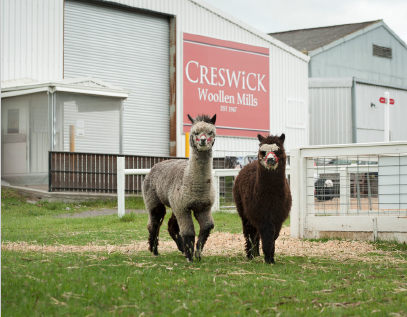 Creswick Woollen Mills 參觀游覽