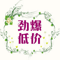 人氣單品，大家都在搶！