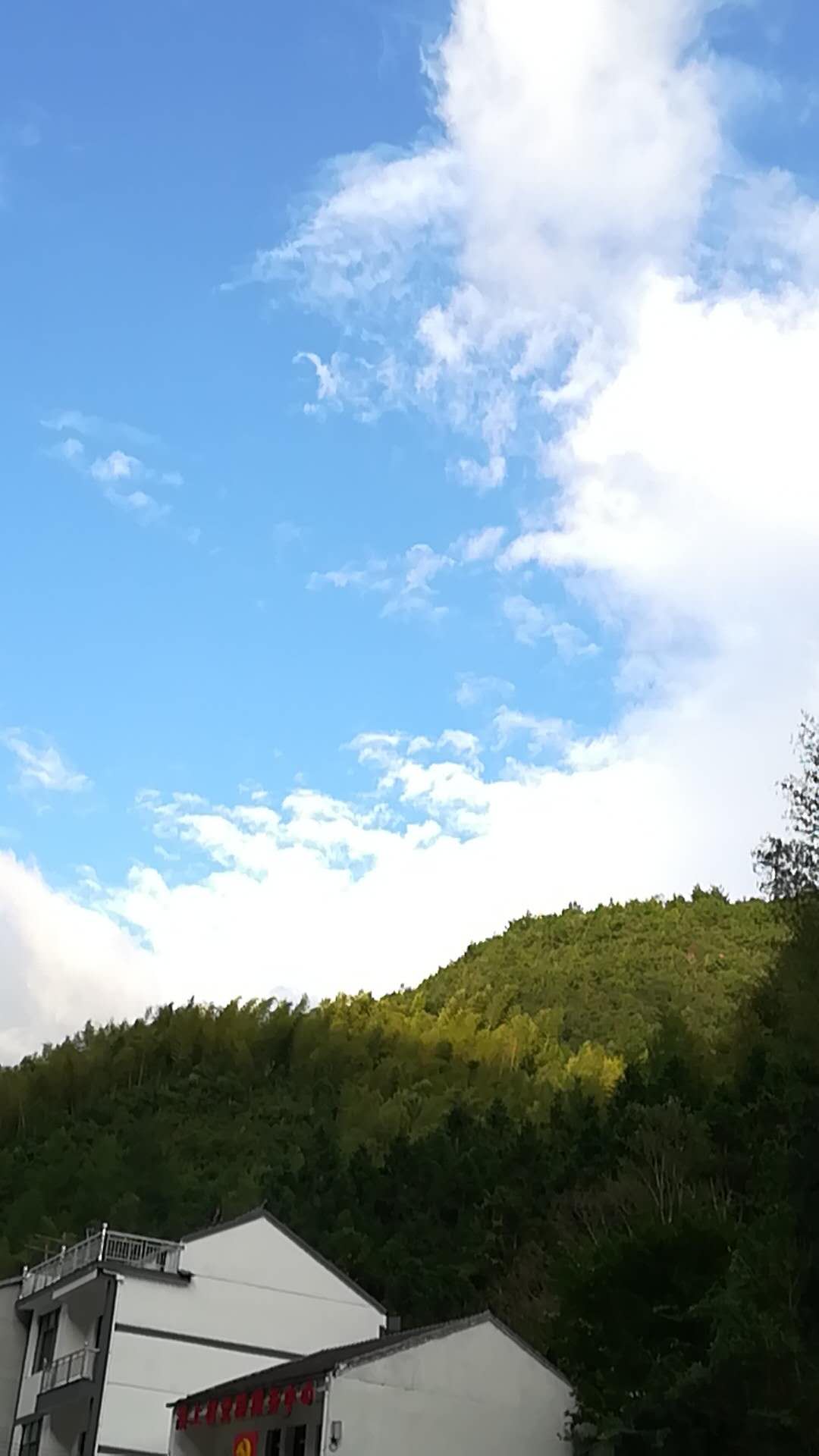 景宁磐安民宿游