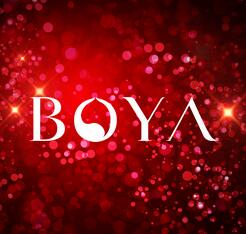 北轩装饰—BOYA · 博雅 设计团队