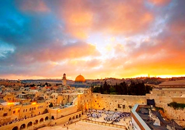 金色之旅金色河岸金色阳光金色牧业金色胡杨金色阳光金色印象金色