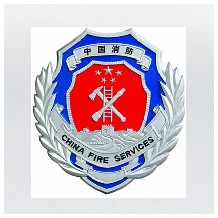 lng微课堂---安全第一课夏日消防小课堂(第一课)2017年adbm股权第一课