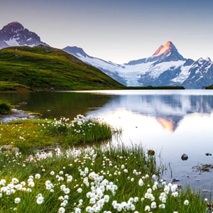 雅睿-高山牧场篇
