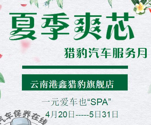夏季爽芯