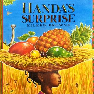 大熊伴读:handas surprise